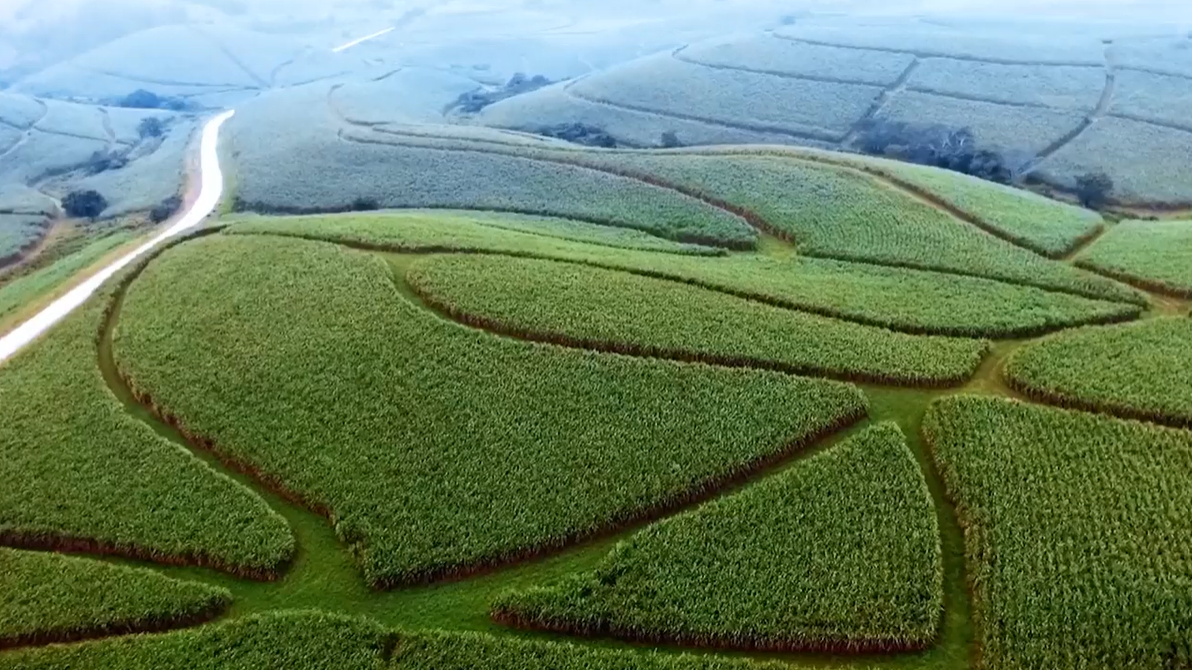 Watch the video to find out more about ABF.